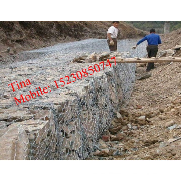 FOB15.8 $ / Set Cesta de Gabion de PVC / Cesta de Gabion galvanizada en caliente (XM-5)